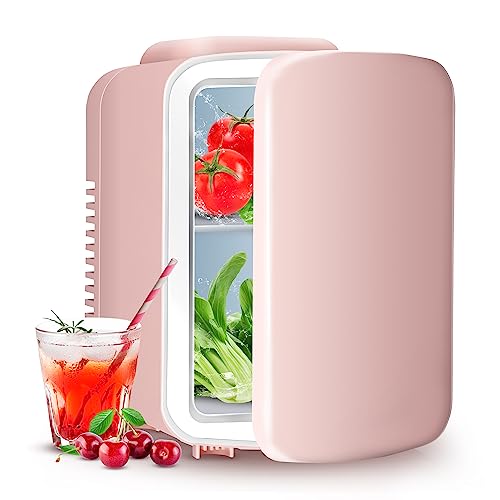 YSSOA 4L Mini Fridge 6 Can Portable Cooler & Warmer Compact Refrigerators for Food,...